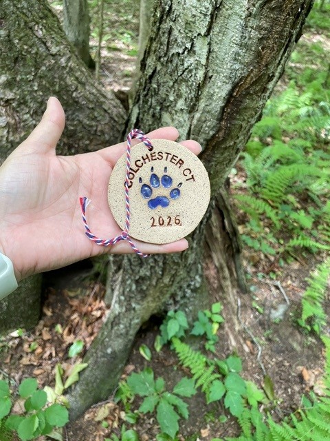 Medal 46 found at Bulkeley Hill Preserve, Colchester, CT (2026) found by Nicole D.