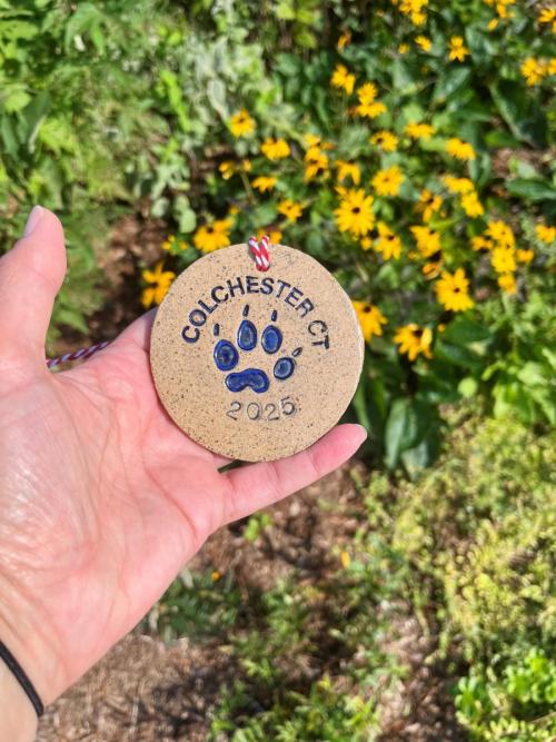 Medal 19 at Ruby and Elizabeth Cohen Woodlands in Colchester, CT