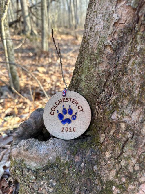 Colchester trail medal #33 - Sablitz Preserve, Colchester, CT