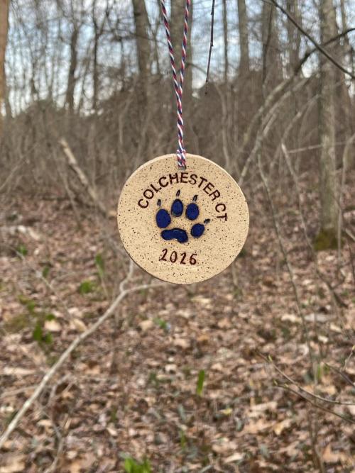 Medal #38 at Ruby Cohen found by John N - April 2026