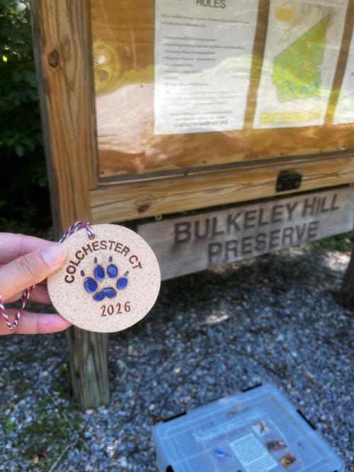 Medal 49 at Bulkeley Hill Preserve Colchester, CT
