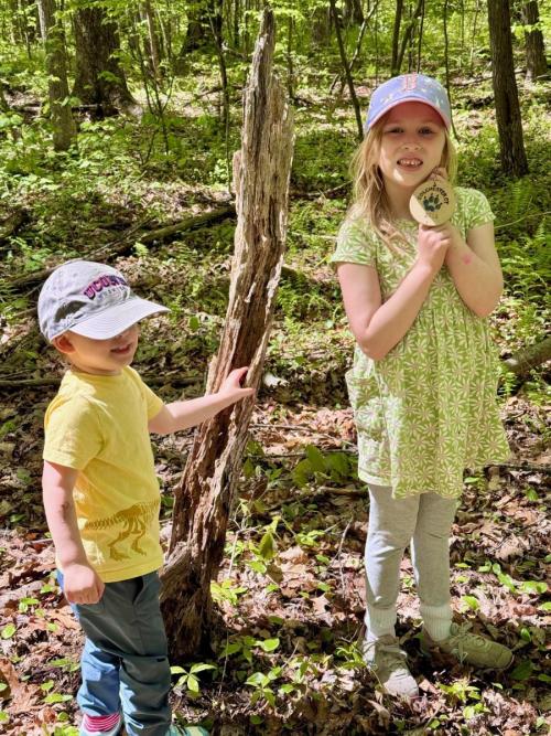 Medal #36 found at Ruby &amp; Elizabeth Cohen Woodlands, Colchester, CT 2026