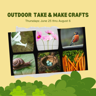 yellow background with nature pictures: watering can, flowers, robin, snail, bird's nest, and carrots 