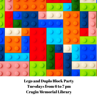 Lego/Duplo Block Party 