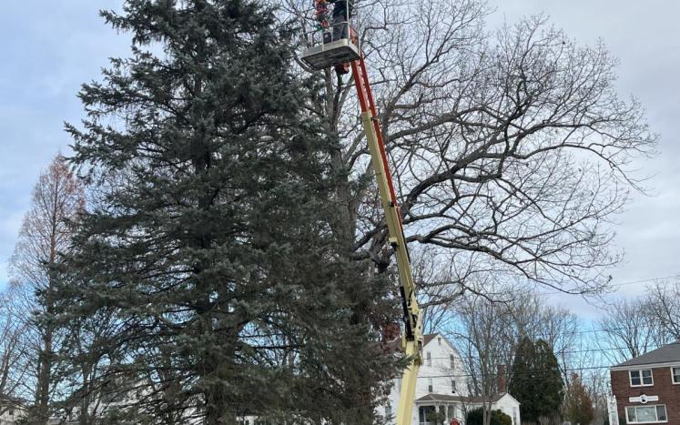 Prep for Holiday Homecoming Colchester Town Green