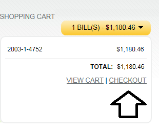 Example Checkout Screen on site for paying your Bills Online