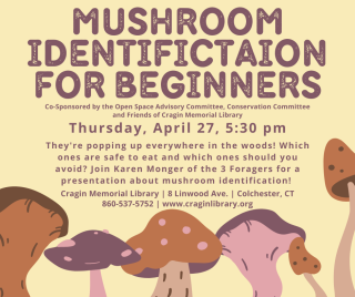 Mushroom ID