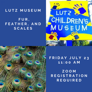 Lutz Children's Museum