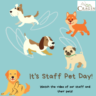 Staff Pets