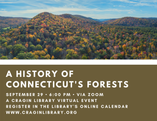 A History of Connecticut's Forests