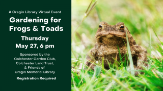 Gardening for frogs and toads